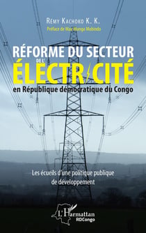 Réforme du secteur de l'électricité en République démocratique du Congo : les écueils d'une politique publique de développement