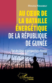 Au coeur de la bataille énergétique de la République de Guinée : état des lieux et perspectives d'avenir