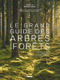 Le Grand guide des arbres et forêts
