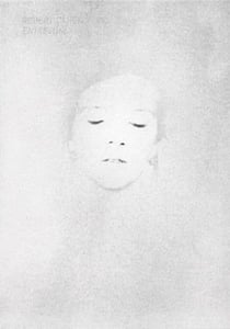 Robert Cahen - entrevoir