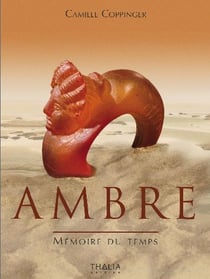 Ambre, mémoire du temps