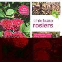J'ai de beaux rosiers sans produits chimiques !