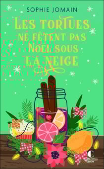 Les tortues ne fêtent pas Noëll sous la neige