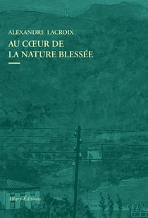 Au coeur de la nature blessée : apprendre à voir les paysages du xxie siècle
