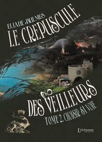 Le crépuscule des Veilleurs Tome 2 : Choisir sa voie