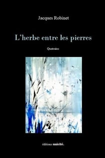 L'herbe entre les pierres