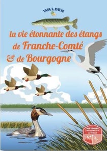La vie étonnante des étangs de franche-comté et de bretagne