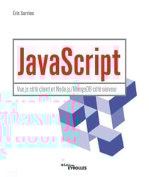 JavaScript : Vue.js côté client et Node.js/MongoDB côté serveur