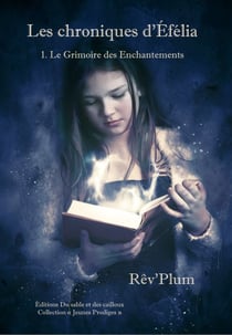 Les chroniques d'Éfélia Tome 1 : le grimoire des enchantements
