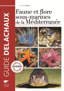 Faune et flore sous-marines de la Méditerranée