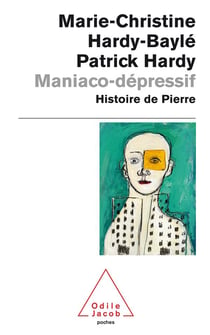 Maniaco-depressif - histoire de pierre
