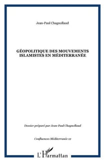 Géopolitique des mouvements islamistes en Méditerranée