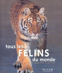Tous les felins du monde