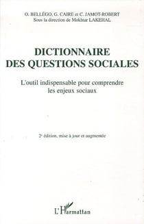 Dictionnaire des questions sociales : L'outil indispensable pour comprendre les enjeux sociaux
