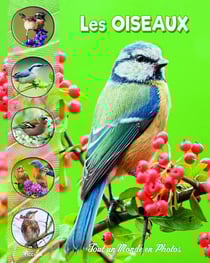 Tout un monde en photos : les oiseaux des parcs et jardins