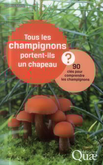 Tous les champignons portent-ils un chapeau ? 90 clés pour comprendre les champignons