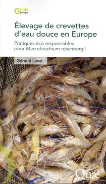 Élevage de crevettes d'eau douce en Europe