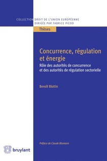 Concurrence, régulation et énergie - rôle des autorités de concurrence et des autorités de régulation sectorielle