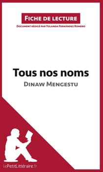 Fiche de lecture : tous nos noms de Dinaw Mengestu - résumé complet et analyse détaillée de l'oeuvre