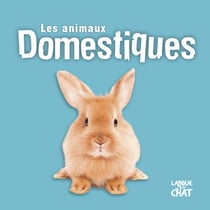 Mes Animaux Domestiques