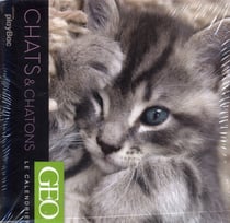 Calendrier géo chats 2012
