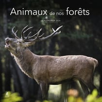 Animaux de nos forêts (édition 2026)