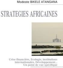 Stratégies africaines : crise financière, écologie, institutions internationales, développement... un point de vue spécifique