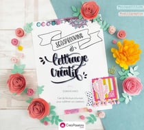 Lettrage créatif & scrapbooking - l'art de l'écriture à la main pour sublimer vos créations