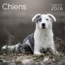 Chiens (édition 2026)