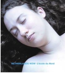 Netherlands now - l'école du nord
