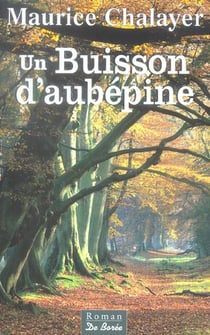Buisson d aubepine (un)