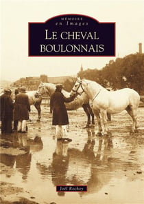 Le cheval boulonnais