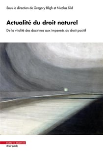 Actualité du droit naturel : De la vitalité des doctrines aux impensés du droit positif