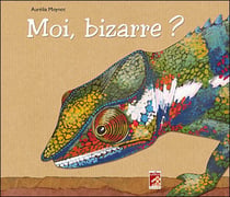Moi bizarre ?