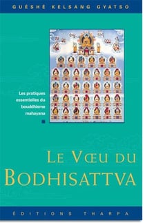 Le voeu du bodhisattva