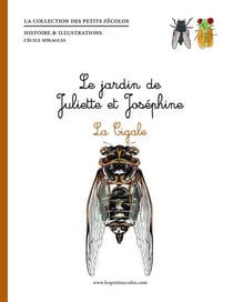 Le jardin de Juliette et Josephine : la cigale