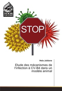 Etude des mecanismes de l'infection a cv-b4 dans un modele animal