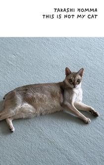 This Is Not My Cat