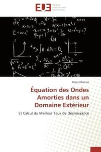 Équation des ondes amorties dans un domaine extérieur - et calcul du meilleur taux de décroissance