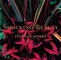 Shocking beauty (hardback)