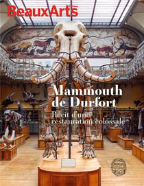 Mammouth de Durfort, récit d'une restauration colossale - Muséum national d'histoire naturelle, Galerie de Paléontologie