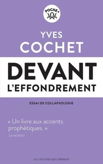 Devant l'effondrement - essai de collapsologie