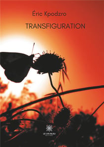 Transfiguration