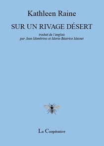 Sur un rivage desert