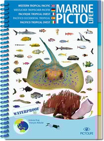 Marine Pictolife : Pacifique asiatique