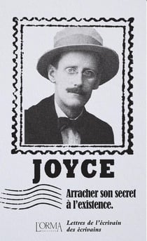 Arracher son secret à l'existence - Lettres de l’écrivain de