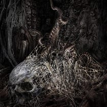 From the abyss... to the flesh