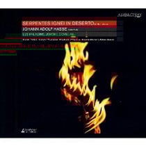 Les serpents de feu dans le désert (serpentes ignei in deserto)