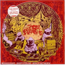 The bees present the sound selection