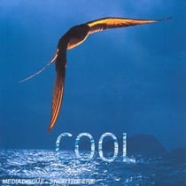 Cool
